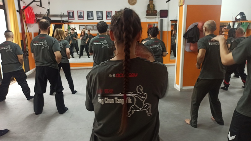 kung fu academy di Sifu Salvatore Mezzone, arti marziali wing chun, weng chun, wing tsun, tai chi quan, chi kung, sanda e sport dacombattimento, shaolin cina.jpg (1)